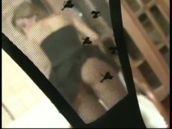 Captura de 'Hart Gefickte Copacabana - Granaten (Hard Fucking Copacabana Girls)' nº 110