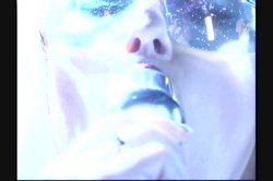 Captura de 'Soloerotica 4' nº 126