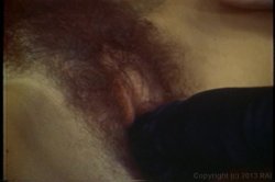 'Hot Shorts - Jessie St James' screenshot nº 22