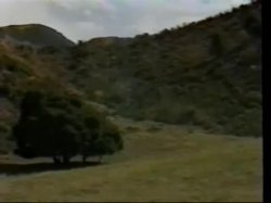 'Mad Maxine' screenshot nº 60
