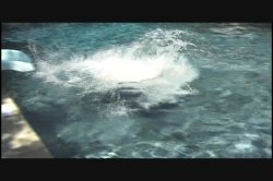 'Thar She Blows' screenshot nº 19