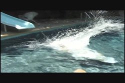 'Thar She Blows' screenshot nº 21