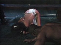 'Dracula' screenshot nº 39