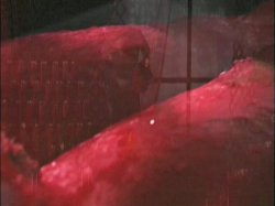 'Dracula' screenshot nº 137