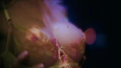 'Strip' screenshot nº 39
