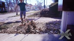 Captura de '406 Mulberry Rd' nº 2