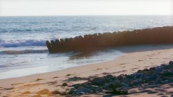 Captura de 'Women & Boys 1' nº 1
