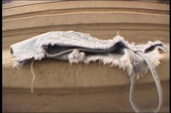 Captura de 'Cum In My Ass Not In My Mouth' nº 100