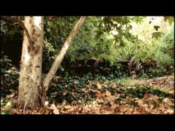 Captura de 'Carmen Luvana's Feature Fourplay' nº 93
