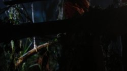 'Laguna Passionata' screenshot nº 118