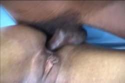 Captura de 'Biggest Blackest Orgies, The' nº 127
