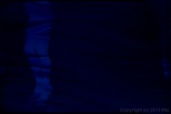 'Fantastic Footjobs' screenshot nº 68
