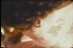 Captura de 'Cook'in With Seka' nº 64