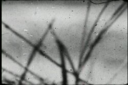 Captura de 'Cook'in With Seka' nº 42