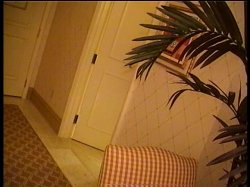 Captura de 'Senecca Takes Las Vegas' nº 50