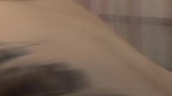 Captura de 'Penny Flame & Her Girlfriends' nº 55