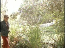 'Debbie Does Dallas: The Revenge' screenshot nº 94