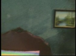 Captura de 'Recession Proof Pussy' nº 121