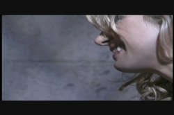 Captura de 'Editor's Choice - Savanna' nº 3