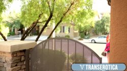 Captura de 'Babe Robin Coffins Pussy Fucked By TS Foxxy and Trans Ladies' nº 1