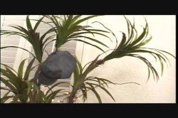 'Gangland Strapped 1' screenshot nº 59