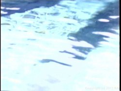 Captura de 'Bangkok Boobarella' nº 40