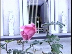 Captura de 'Bangkok Boobarella' nº 42