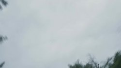 'Wet Pussy For You' screenshot nº 54
