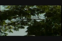 'Wild Ones 3' screenshot nº 107