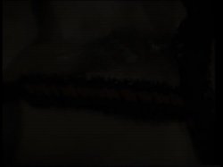 Captura de 'Retro Chicks Get Banged!' nº 112