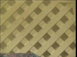 'Dirty Debutantes 206' screenshot nº 122