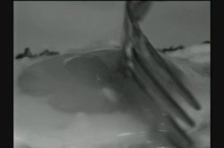 'Freshness' screenshot nº 37