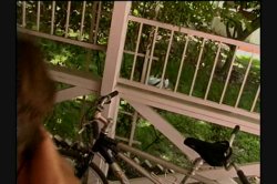 'Freshness' screenshot nº 107