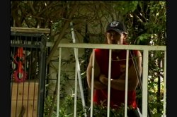 'Freshness' screenshot nº 112