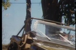 'Pretty Peaches 2' screenshot nº 139