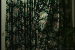 'Pretty Peaches 2' screenshot nº 19