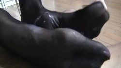 Captura de 'Femdom Footjobs' nº 36