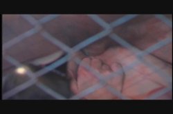 'Blowjob City' screenshot nº 13