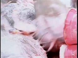 'Fetish World 4' screenshot nº 51