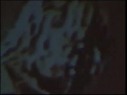 'Fetish World 4' screenshot nº 57