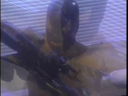 'Fetish World 4' screenshot nº 19
