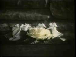 'Crowd Pleasing Sluts' screenshot nº 18