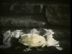 'Crowd Pleasing Sluts' screenshot nº 25