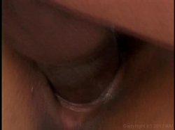 'Premium Black Pussy Search 5' screenshot nº 35