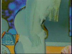 'Premium Black Pussy Search 5' screenshot nº 2