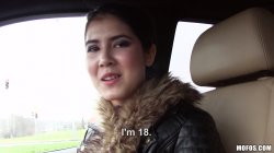 'Pussy Passenger Vol. 3' screenshot nº 2