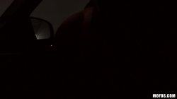 'Pussy Passenger Vol. 3' screenshot nº 8