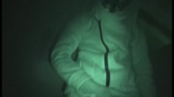 Captura de 'Hope Harper's Halloween Whorrors' nº 5