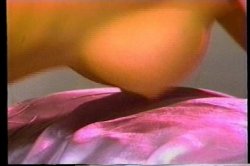 Captura de 'Superstars Of The 80's' nº 96