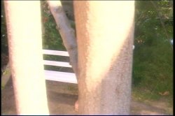 'YSM - Young Sweet Muffins' screenshot nº 89
